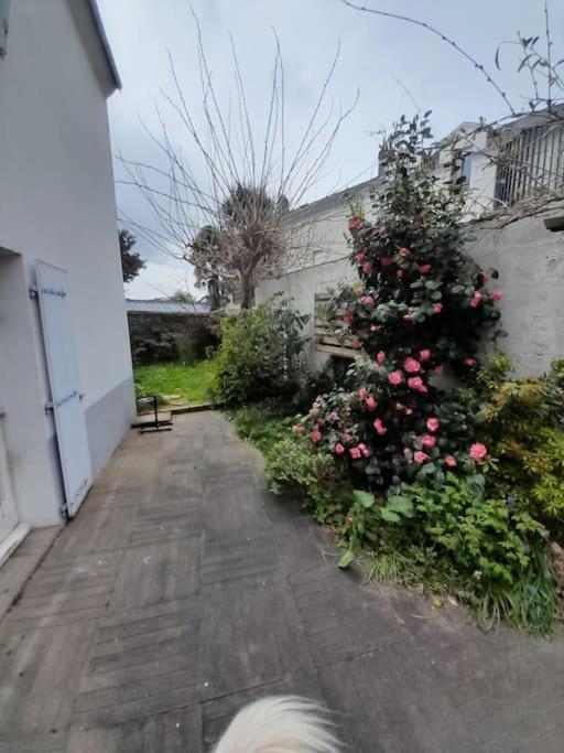 L'Octroi Nantes-6 Pers.-Jardin-Proche Tt Comm. Villa Exteriör bild
